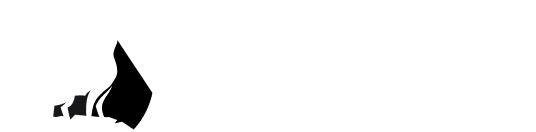 WolfCFO Footer Logo